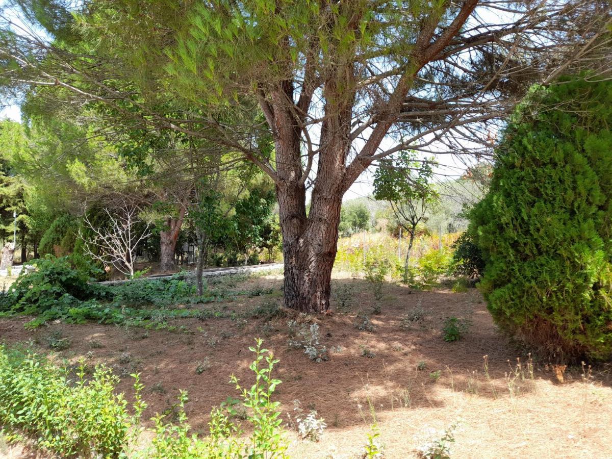 Lemontree Apartments Kassiopi Buitenkant foto